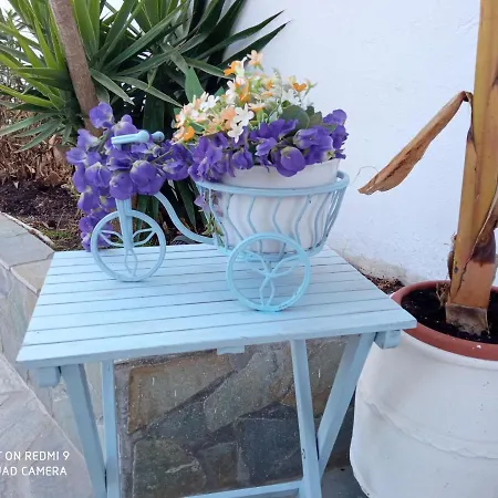 Pico 2* Грикос