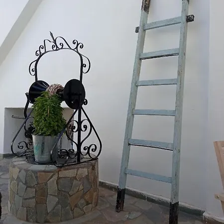 Pico 2* Grikos Bay (Patmos)