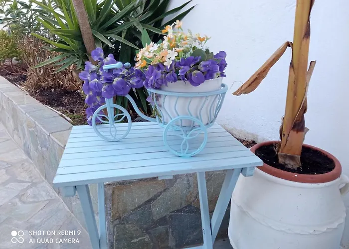 Pico 2* Grikos Bay (Patmos)